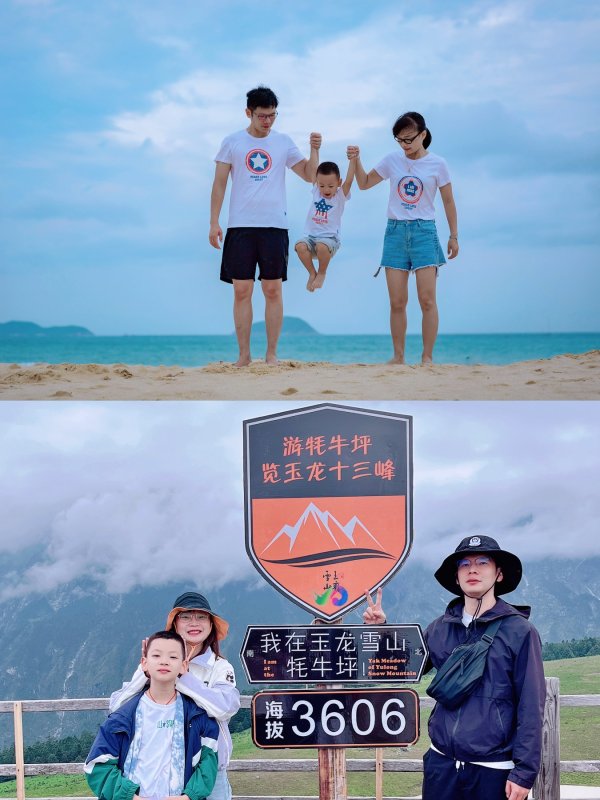 张露